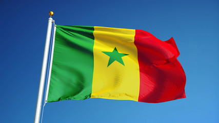 Senegal flag waving against clean blue sky, close up, isolated with clipping path mask alpha channel transparency
