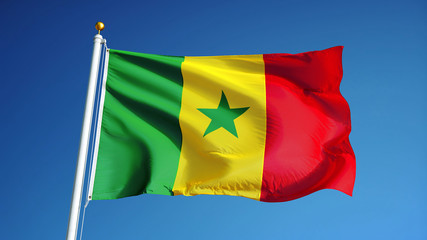 Senegal flag waving against clean blue sky, close up, isolated with clipping path mask alpha channel transparency