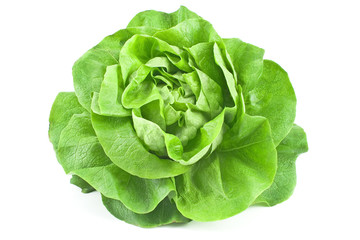 Fresh lettuce isolated on white  background