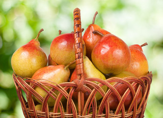 pears in a wicker basket with  blurred background