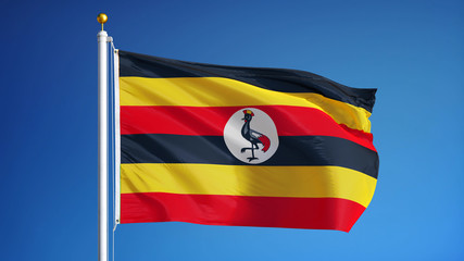 Uganda flag waving against clean blue sky, close up, isolated with clipping path mask alpha channel transparency