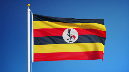 Uganda flag waving against clean blue sky, close up, isolated with clipping path mask alpha channel transparency