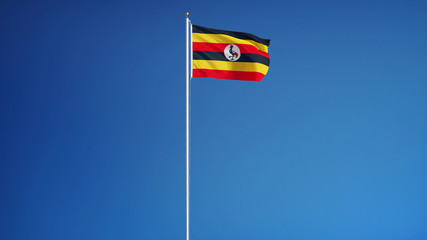 Uganda flag waving against clean blue sky, long shot, isolated with clipping path mask alpha channel transparency