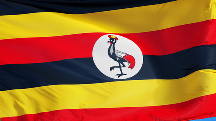 Uganda flag waving against clean blue sky, close up, isolated with clipping path mask alpha channel transparency