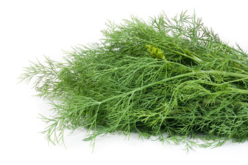 bunch of dill isolated on a white background closeup