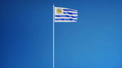 Uruguay flag waving against clean blue sky, long shot, isolated with clipping path mask alpha channel transparency