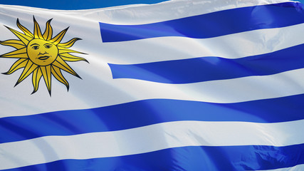 Fototapeta premium Uruguay flag waving against clean blue sky, close up, isolated with clipping path mask alpha channel transparency