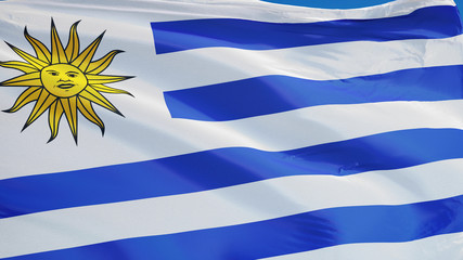 Fototapeta premium Uruguay flag waving against clean blue sky, close up, isolated with clipping path mask alpha channel transparency