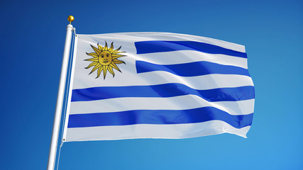 Uruguay flag waving against clean blue sky, close up, isolated with clipping path mask alpha channel transparency
