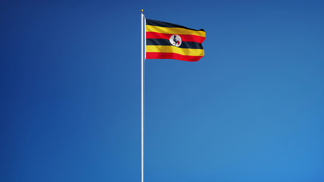 Uganda flag waving against clean blue sky, long shot, isolated with clipping path mask alpha channel transparency