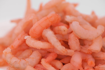prawns close-up on a light background