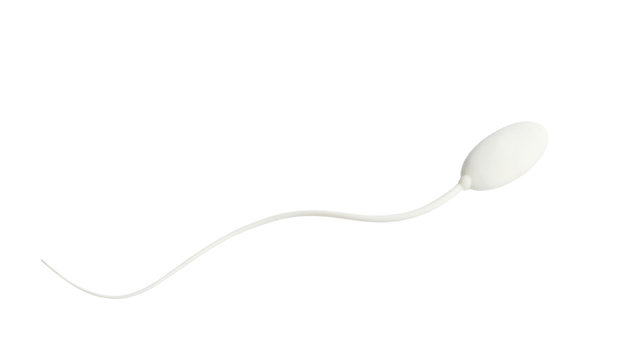 isolated photo lone sperm on a white background. white on white