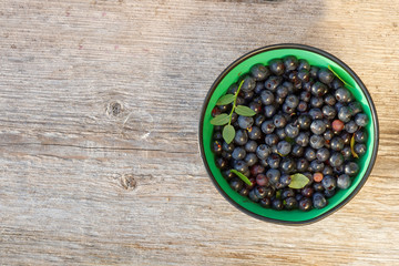 Blueberry in a bowl from above on a plank in warm light