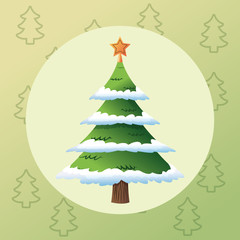 pine tree plant icon. Merry christmas decoration. Colorful and circle design. Vector illustration
