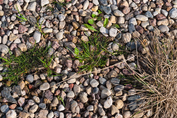 Rock and grass background