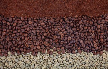 Green and dark coffee beans and ground coffee