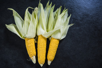 whole corn cobs © marcin jucha