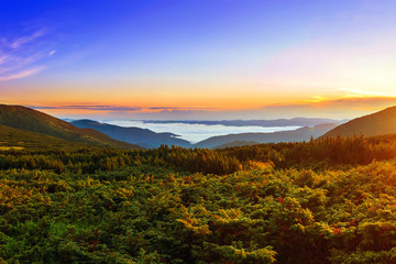 Naklejka na ściany i meble Picturesque sunrise morning in mountains above clouds, Carpathia