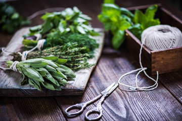 Bunch of fresh herbs from garden