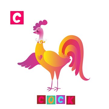 Year of the rooster. Cute cartoon english alphabet with colorful image and word. Kids vector ABC. Letter C. Cock.