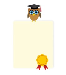 diploma certificate and owl with graduation hat