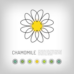 Chamomile thin line art icon, isolated daisy logo, abstract flower design. Simple floral. Modern minimal design flower, Vector illustration