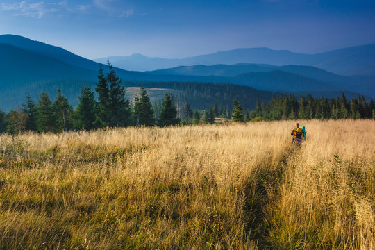 Backpacker is walking through tall grass in the autumn mountains. View on the wooded hills and  hazy peaks in the distance.