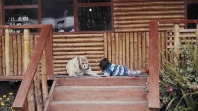 LAKE COCHA, COLOMBIA - CIRCA MAY 2016: Little girl drawing lay down on the floor of porch next to her labrador dog. 4k