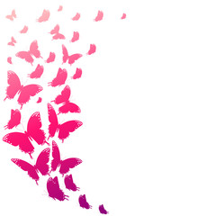 Fototapeta premium color butterflies,isolated on a white