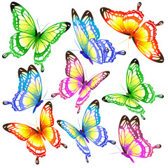 color butterflies,isolated on a white