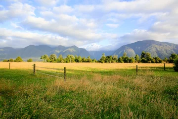 Foto op Plexiglas Fenced place for walking cows. Haast, New Zealand © Iriana Shiyan