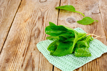 Juicy Fresh Spinach Leaves