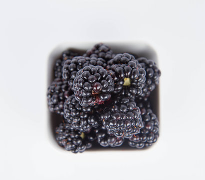 Blackberries: a bowl of fruit on white background