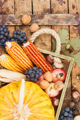Thanksgiving day: Tray of different autumn vegetables