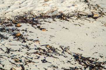 PLAYA D´ES TRENC