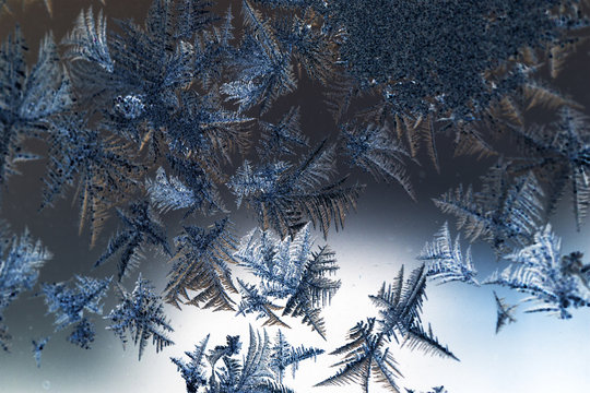 Ice flowers on glass - texture and background