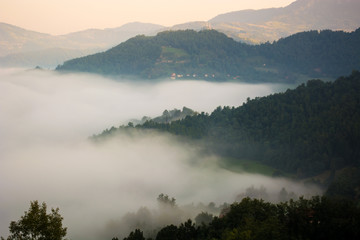 Obraz na płótnie Canvas Foggy morning in national park Tara