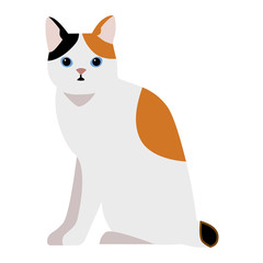 Cat cartoon style vector silhouette. Cute domestic cat animal sitting. Cartoon cat young adorable tail symbol playful. Cartoon funny domestic pussy kitty cat sit character