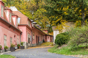 Fototapeta na wymiar pink / rose-colored houses with trees and foliage in fall
