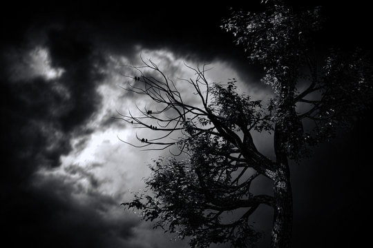 Halloween background with spooky forest and full moon