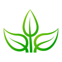 Leaf icon vector illustration.