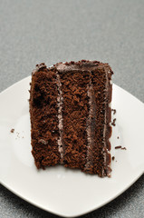 A delicious slice of chocolate cake in a white plate