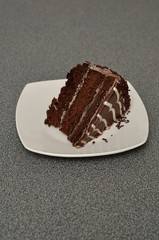 A delicious slice of chocolate cake in a white plate