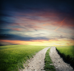 Fototapeta premium Green field way