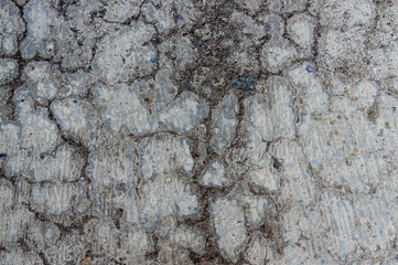 Concrete floor with interesting textured pattern