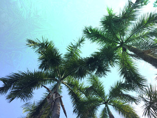 Fototapeta na wymiar Palm tree gradient pastel tone