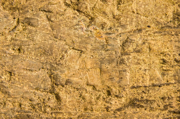 Plastered wall with interesting texture