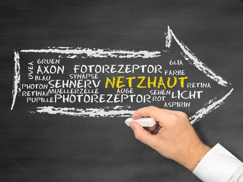 Netzhaut
