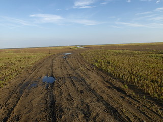 Wattenmeer Insel Scharhörn