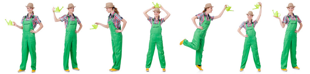 Collage of woman watering plants isolated on white